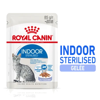 Pochette de nourriture pour chats Royal Canin Indoor Sterilised, présentant une illustration de chat tigré gris, étiquetée "85 g/r" et "INTERNAL STERILISED GELÉE."