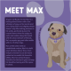Illustration von Max, einem braunen Border Terrier mit lila Halsband und Anhänger, vor lila Hintergrund mit fettem Text 'TRIFF MAX'.