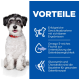 Kleiner weißer lockiger Hund mit rotem Halsband neben einem blauen Feld mit der Aufschrift 'VORTEILE' — Vorteile: Gewichtsverlust, Omega‑3-Fischöl, Glucosamin