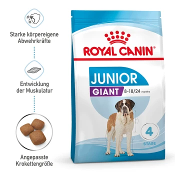 Royal Canin Junior Giant Hundefutterbeutel mit einem Bernhardiner, der die Unterstützung des Immunsystems, das Muskelwachstum und die angepasste Kibblesgröße betont.
