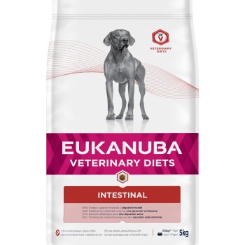 Torba z jedzeniem dla psów Eukanuba Veterinary Diets Intestinal z szarym psem, podkreślająca wsparcie dietetyczne dla zdrowia układu pokarmowego, 5 kg.