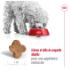 Un chien blanc duveteux mange dans un bol rouge de croquettes, présentant un morceau en forme d'étoile et un texte sur l'attrait des croquettes.