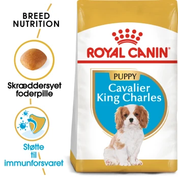 Royal Canin Welpenfutter für Cavalier King Charles, mit einem Bild eines Welpen, mit Text, der die Ernährung der Rasse und die Unterstützung des Immunsystems hervorhebt.