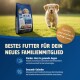 Golden Retriever Welpe läuft auf Gras neben einer Tüte Nutri QM Meat Hundefutter mit deutschem Text über gesundheitliche Vorteile.