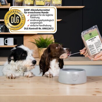 Zwei Hunde an einer Theke, denen 'Komplett‑Mix' Nassfutter mit einem Löffel gefüttert wird; DLG‑Siegel trägt die Aufschrift 'BARF‑Alleinfuttermittel' und 'AN022672'.