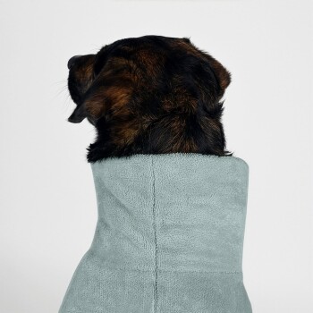 Ein brauner Hund, der einen weichen, hellblauen Haustier-Hoodie trägt, steht an einem sandigen Strand, umgeben von hohem Gras und Holzpfosten.