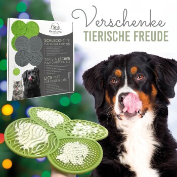 Ein kleiner weißer Hund leckt eine graue Silikonmatte mit verschiedenen Texturen und dem Text "Leckmatte auch einfrierbar für besonders langen Schleckspass."