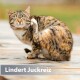 Getigerte Katze kratzt sich mit dem Hinterbein hinter dem Ohr, Augen geschlossen, sitzt auf einer Holzoberfläche; überlagerter Text 'Lindert Juckreiz'.