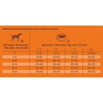 Nature’s Variety Original Junior Saumon 2 kg