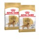 Golden Retriever Adult 2x12 kg