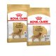 Zwei Beutel Royal Canin Hundefutter für erwachsene Golden Retriever, mit einem Bild eines Golden Retrievers und Text, der die ernährungsphysiologischen Vorteile der Rasse hervorhebt.