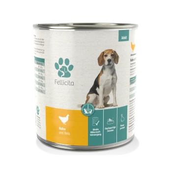 Dose Hundefutter mit der Aufschrift 'Fellicita', die eine Beagle-Illustration zeigt, mit 'Huhn und Reis' (Chicken and Rice) deutlich angezeigt.