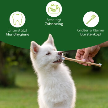Ein weißer Hund wird mit einer Zahnbürste gebürstet, mit dem Text: "Unterstützt die Mundhygiene," "Entfernt Plaque," "Großer & kleiner Bürstenkopf."