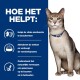 Een gezonde kat met een blauwe halsband zit tegen een blauw-witte achtergrond met tekst over nierfunctie, eetlust en spiergezondheid.