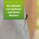 Eine Nahaufnahme einer Spinne auf einer weißen Oberfläche, mit einer grünen Box darüber, die den Text "Zur Abwehr von Spinnen und deren Nestern" anzeigt.