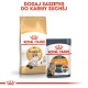 Torba suchej karmy dla kotów Royal Canin Ragdoll Adult i saszetka mokrej karmy Intense Beauty, z polskim tekstem sugerującym dodanie mokrej karmy.