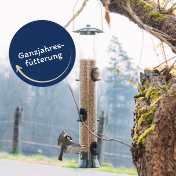 Ein Vogelhaus mit Samen, einem sitzenden Vogel und einem weiteren, der in der Nähe fliegt, mit "Ganzjahresfütterung" in einem kreisförmigen Design darüber.