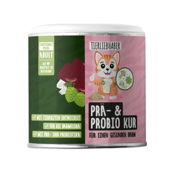 Bunter Behälter beschriftet mit "TIERLIEBHABER PRÄ & PROBIO KUR FÜR KATZEN" mit grünem Hintergrund und rosa Leopardenflecken.