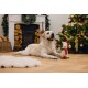 Labrador retriever liggend op een houten vloer naast een kerstboom en een knuffel lama speelgoed met een kerstmanmuts.