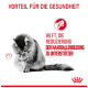 Eine graue Katze, die sich putzt, mit deutschem Text: "Vorteil für die Gesundheit" und "Hilft, Haarballenbildung zu reduzieren."