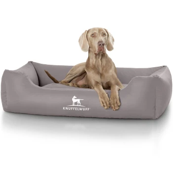 Ein hellgraues Hundebett mit dem Logo "KNUFFELWUFF", das prominent angezeigt wird, mit einem entspannten Hund, der bequem darauf liegt.