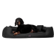 Ein elegantes schwarzes Hundebett mit einem Hund, der darauf liegt, begleitet von dem Text "INKLUSIVE" und "MATRATZENSCHONER GIBT'S OBENDRAUF."