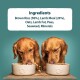 Two golden retrievers eating from white bowls of pet food, with an ingredient list: Brown Rice, Lamb Meal, Oats, Peas, Seaweed.