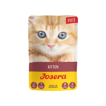 Nahaufnahme einer orangefarbenen Tabby-Katze auf einem Kittenfutterbeutel mit der Aufschrift "Josera KITTEN PATÉ MADE IN GERMANY" mit Symbolen für Lachsöl und getreidefrei.