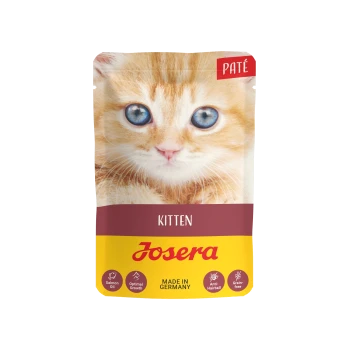 Nahaufnahme einer orangefarbenen Tabby-Katze auf einem Kittenfutterbeutel mit der Aufschrift "Josera KITTEN PATÉ MADE IN GERMANY" mit Symbolen für Lachsöl und getreidefrei.