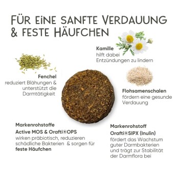Bild zur Förderung eines Haustierpflegeprodukts mit Vorher-Nachher-Vergleich. Der Text hebt hervor "Unterschied schon nach 21 Tagen!" und zeigt einen glücklichen Hund.