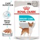 Opakowanie karmy dla psów Royal Canin Urinary Care, z ilustracją małego psa, z informacją "Care Nutrition" i "Wszystkie rozmiary."