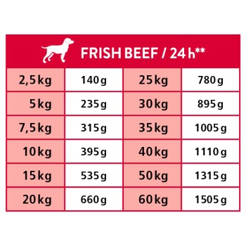 Rote Fütterungstabelle mit Titel 'FRISH BEEF / 24 h**' und Hunde-Ikone; listet Hundegewichte (2,5–60 kg) und Tagesmengen (140–1505 g).