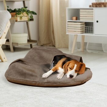 Ein gemütliches braunes Haustierbett mit einem Hund, der teilweise darin liegt, in einem hellen, modernen Wohnzimmer mit Pflanzen und einem weißen Schrank.