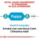 Royal Canin Chihuahua voedingsgids: leeftijdsfases 2 maanden (Puppy), 8 maanden (overgang), overstappen op volwassen voeding na 8 maanden.