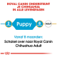 Royal Canin Chihuahua voedingsgids: leeftijdsfases 2 maanden (Puppy), 8 maanden (overgang), overstappen op volwassen voeding na 8 maanden.