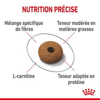 Croquettes brunes avec un trou au centre, entourées de texte sur la nutrition : "Mélange de fibres spécifiques," "Graisse modérée," "L-carnitine," "Protéine adaptée."