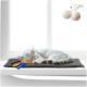 Schlafende hellgraue Katze auf einer schwarzen Matte am Fenster mit deutscher Flagge und "Made in EU"-Etiketten, darüber zwei Seilbälle.