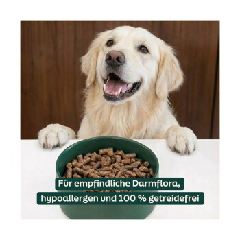 Golden Retriever, der über einer Schüssel Kibble lächelt; Text: 'Für empfindliche Darmflora, hypoallergen und 100 % getreidefrei'.