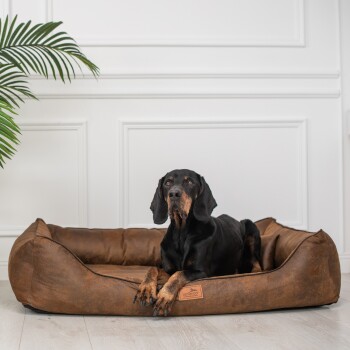 Ein schwarzer Hund, der auf einem braunen Haustierbett mit lederähnlicher Textur liegt, mit einem Logotag, auf dem 'Hernando' steht.