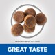 A close-up of round pet food kibble pieces, with a size reference of approximately 5.5 x 13mm, and the text "GREAT TASTE" below.