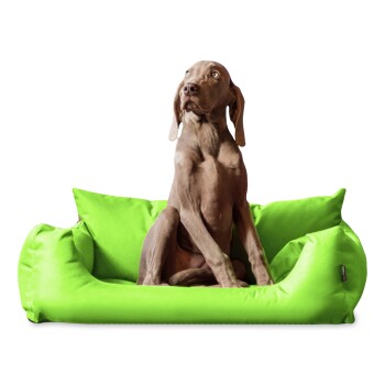 NEMO Hundebett Hundesofa S M L Hundekorb Katzenbett 65 80 100cm kiwi 80 cm, 22 cm, 60 cm