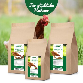 Braune Papiertüten mit Hühnerfutter, beschriftet mit 'Leinkuchen Mehl', 'Hagebutten Pulver' und 'Bierhefe BT', mit einem Huhn und 'Für glückliche Hühner.'