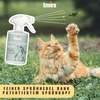 Eine verspielte orange Katze greift nach einem Blatt, mit einer Flasche "Anti-Giardien Spray" von Envira im Vordergrund.