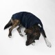 Ein brauner und schwarzer Hund, der einen marineblauen Fleece-Mantel trägt, liegt auf einem weißen Hintergrund und schaut auf seine Pfote.