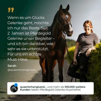 Frau mit Pferd, deutsche Werbeanzeige, die 'Pferdegold Gelenke' lobt; zeigt 'Sarah @quaentchenglueck_' und '100.000 Kunden'.