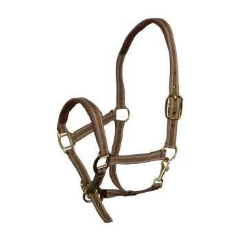 Halfter Dual Plus beige VB/ COB (Vollblut) Brautes Haustiergeschirr mit goldenen Metallverschlüssen und verstellbaren Riemen, entworfen für Komfort und Sicherheit.