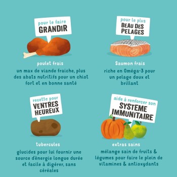 Image promouvant la nourriture pour animaux de compagnie avec des illustrations de poulet, saumon, tubercules et extras, mettant en avant les avantages pour la croissance, le pelage, la digestion et l'immunité.