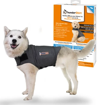 Ein Hund in einer ThunderShirt Beruhigungsweste, mit einer Produktbox, die mehrsprachige Vorteile und Anweisungen im Hintergrund zeigt.