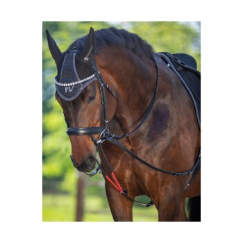Eine Nahaufnahme eines braunen Pferdes, das eine schwarze Fliegenhaube mit Strasssteinen trägt, die das elegante Zaumzeug vor einem verschwommenen grünen Hintergrund zeigt.
