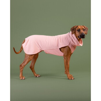Großer brauner Hund trägt einen rosa Fleece-Mantel mit Rollkragen, steht im Profil vor einem einfarbigen grünen Hintergrund